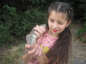 IMG_3249.JPG