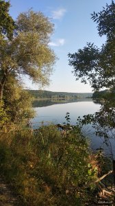 IMG_20200819_071324.jpg