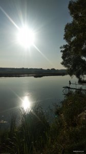 IMG_20200819_071327.jpg