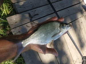 IMG_20200824_115021.jpg