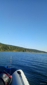 P00823-063719[1].jpg