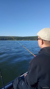P00823-074438[1].jpg