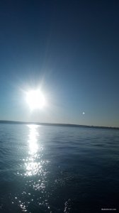 P00823-063924[1].jpg
