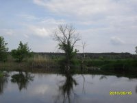 SAM_0195.jpg
