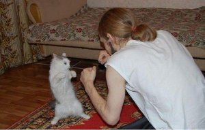 круто2.jpg