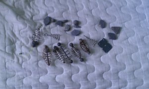 IMAG0055.jpg