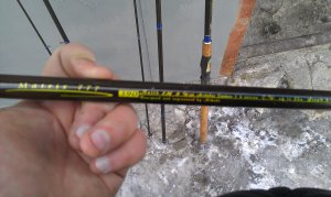 IMAG0070.jpg