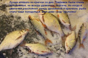 Копия 333 020.jpg