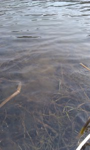 IMAG0190.jpg