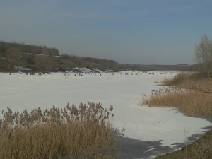 2013-02-23 10.41.20.jpg