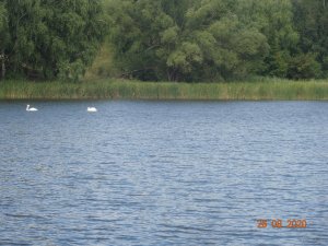 DSC07274.JPG