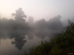 IMG_20200826_172653.jpg