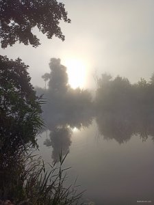 IMG_20200823_063653.jpg