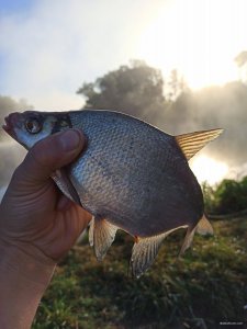 IMG_20200825_131216.jpg