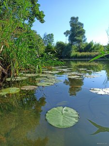 IMG_20200823_081948.jpg