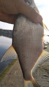 IMG_20200827_084042.jpg