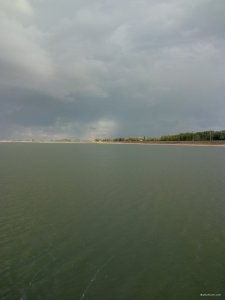 IMG_20200828_162851.jpg