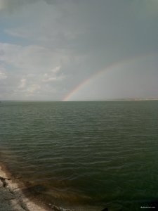IMG_20200828_162946.jpg