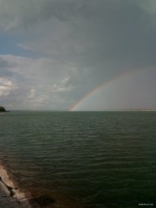 IMG_20200828_162955.jpg