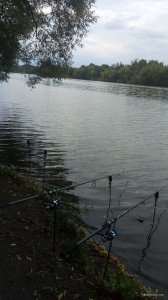 P00827-164944[1].jpg
