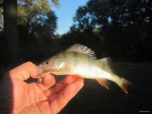 IMG_3283.JPG