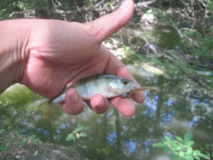 IMG_3293.JPG