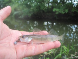 IMG_3297.JPG