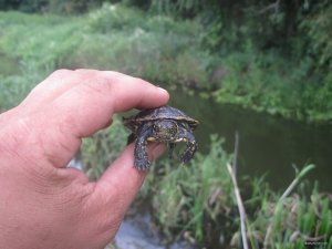 IMG_3303.JPG