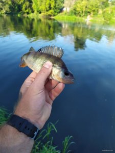 IMG_20200830_081610.jpg