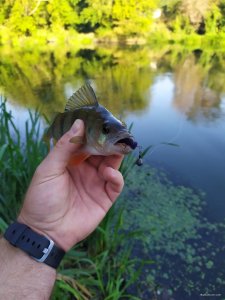 IMG_20200830_073738.jpg