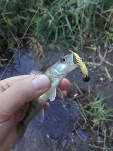 IMG_20200829_180755.jpg
