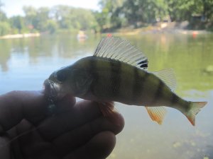 IMG_3347.JPG