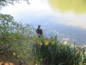 IMG_3365.JPG