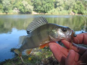IMG_3403.JPG