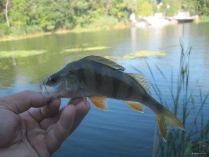 IMG_3407.JPG