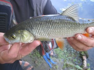 IMG_3358.JPG