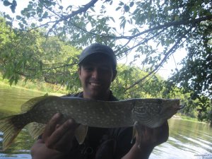 IMG_3398.JPG