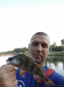 IMG_20200831_181732.jpg