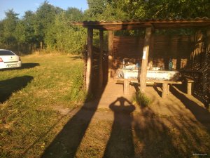 IMG_20200829_181654.jpg