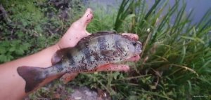 IMG_20200901_193521.jpg