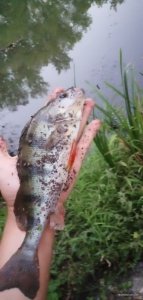 IMG_20200901_193516.jpg