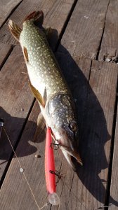 20200902_091340.jpg