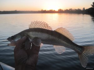 IMG_3410.JPG