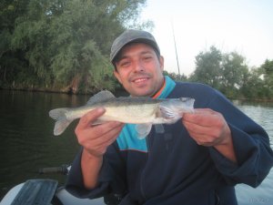 IMG_3412.JPG