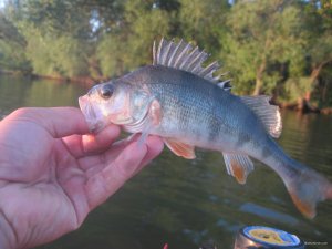 IMG_3420.JPG