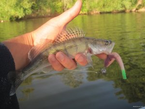 IMG_3423.JPG