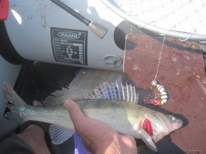 IMG_3434.JPG