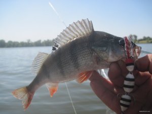 IMG_3441.JPG