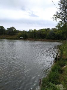 IMG_20200904_130734.jpg