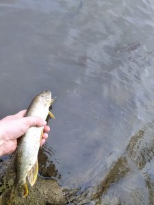 IMG_20200904_162249.jpg